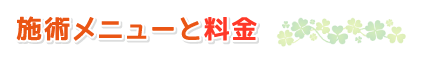 施術メニューと料金